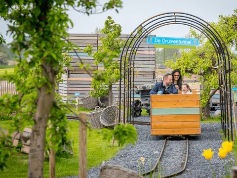 Familie Resort Molenwaard - Molenlanden - Afbeelding N°19