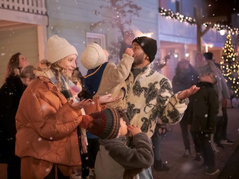 Familie Resort Molenwaard - Camping Molenlanden - Afbeelding N°2