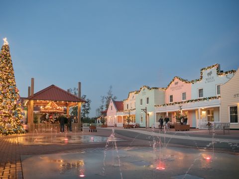 Familie Resort Molenwaard - Molenlanden - Afbeelding N°50