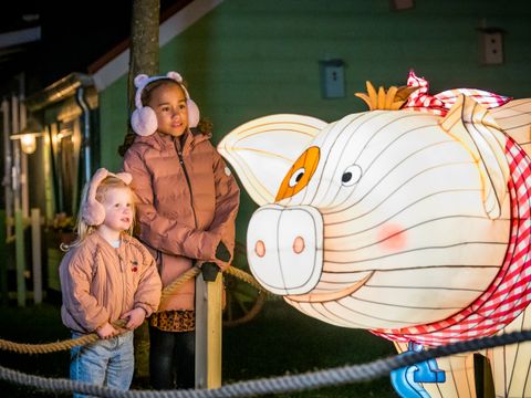 Familie Resort Molenwaard - Molenlanden - Afbeelding N°36