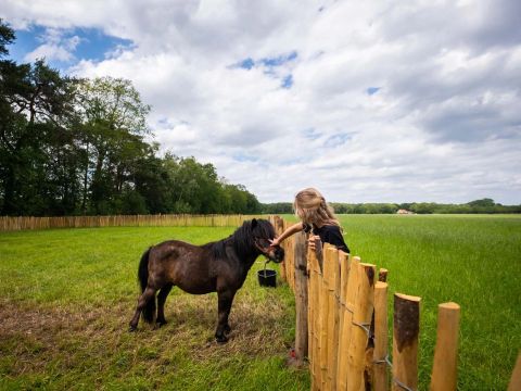 Papillon Country Resort - Dinkelland - Afbeelding N°31