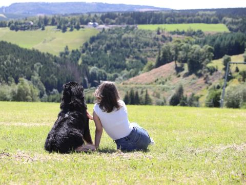 UplandParcs Residence Astenberg - Noordrijn-Westfalen - Afbeelding N°4