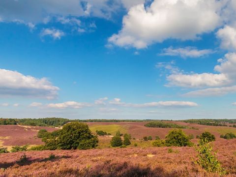 EuroParcs Hoge Kempen - Belgisch Limburg - Afbeelding N°13