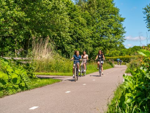 EuroParcs De Woudhoeve - Bergen - Afbeelding N°22