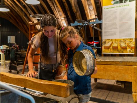 EuroParcs De Woudhoeve - Bergen - Afbeelding N°24