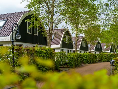EuroParcs Koningshof - Bergen - Afbeelding N°15