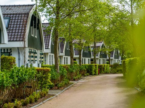EuroParcs Koningshof - Bergen - Afbeelding N°14