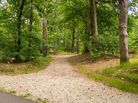 Landal  Park De Peel - Deurne - Afbeelding N°34