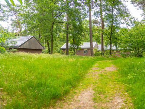 Landal  Park De Peel - Deurne - Afbeelding N°31
