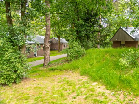 Landal  Park De Peel - Deurne - Afbeelding N°33