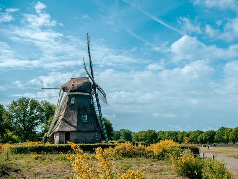 EuroParcs Ruinen - De Wolden - Afbeelding N°33