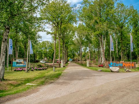 EuroParcs Ruinen - De Wolden - Afbeelding N°7