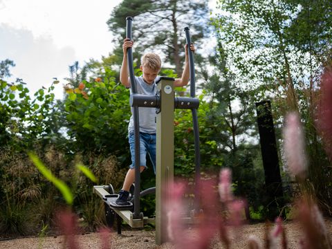TopParken Resort Veluwe - Barneveld - Afbeelding N°16
