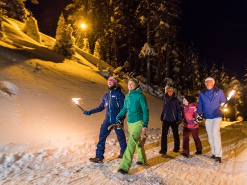 Landal Katschberg - Karinthië