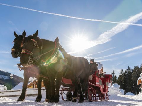 Landal Katschberg - Karinthië