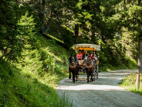 Landal Katschberg - Karinthië