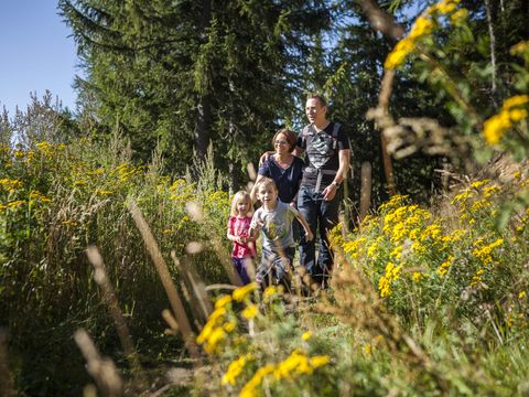 Landal Katschberg - Karinthië