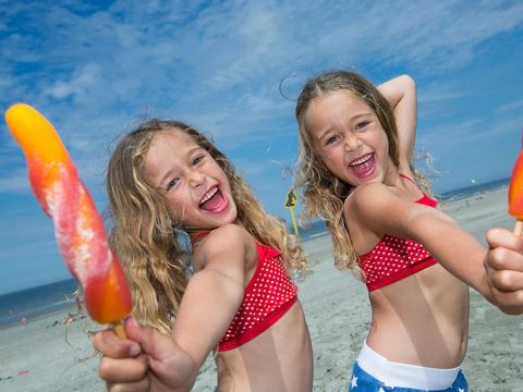 Landal Camping De Zandput - Veere - Afbeelding N°4