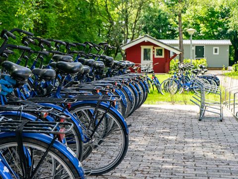 EuroParcs Het Amsterdamse Bos - Amsterdam - Afbeelding N°7