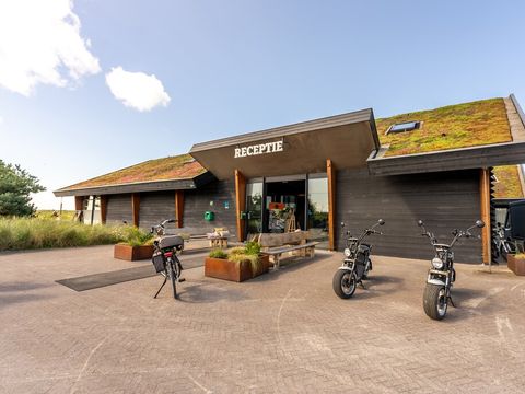 Landal Ameland - Ameland - Afbeelding N°4