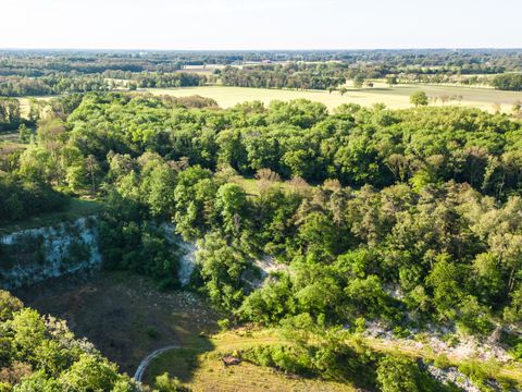Hofparken Wiltershaar - Winterswijk - Afbeelding N°46