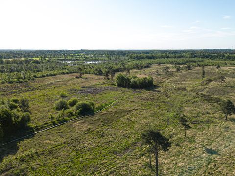 Hofparken Wiltershaar - Winterswijk - Afbeelding N°45