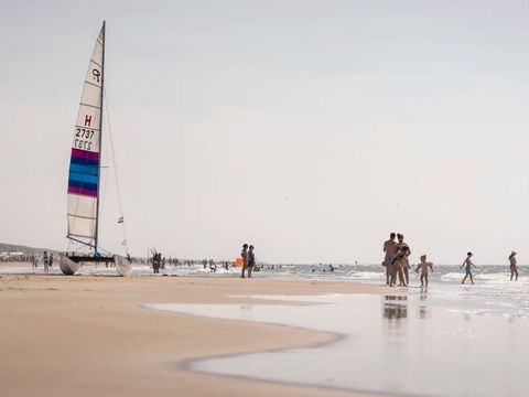 Landal Zandvoort - Zandvoort - Afbeelding N°3