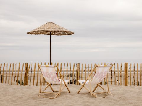 Landal Zandvoort - Zandvoort - Afbeelding N°3