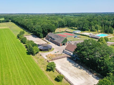 Park Drentheland - Westerveld - Afbeelding N°10
