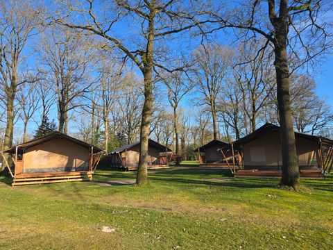 Park Drentheland - Westerveld - Afbeelding N°15