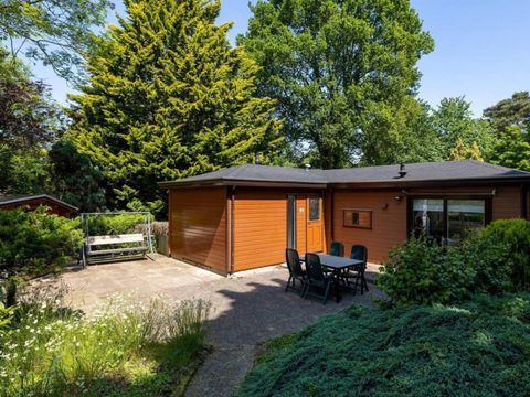 Bungalowpark Het Verscholen Dorp - Harderwijk - Afbeelding N°30