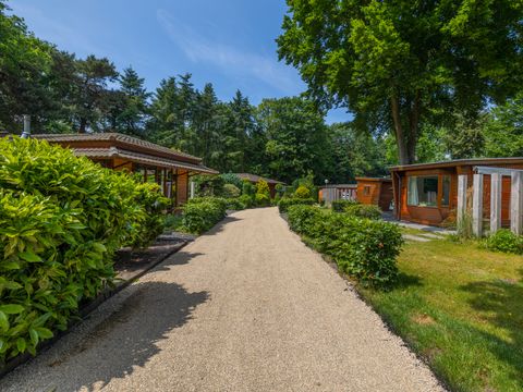Bungalowpark Het Verscholen Dorp - Harderwijk - Afbeelding N°27