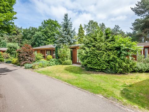 Bungalowpark Het Verscholen Dorp - Harderwijk - Afbeelding N°26
