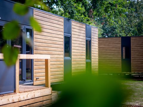 Urban Gardens Gent - Oost-Vlaanderen - Afbeelding N°17