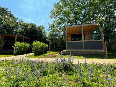 Urban Gardens Gent - Oost-Vlaanderen - Afbeelding N°9