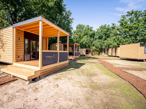 Urban Gardens Gent - Oost-Vlaanderen - Afbeelding N°12
