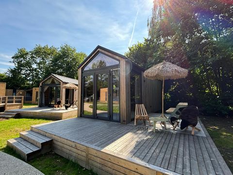 Urban Gardens Gent - Oost-Vlaanderen - Afbeelding N°10