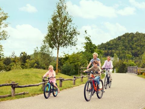 Terhills Resort by Center Parcs - Belgisch Limburg - Afbeelding N°3