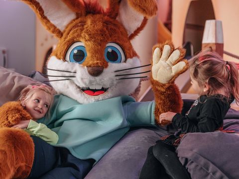 Landal Ferienresort Cochem - Rijnland-Palts - Afbeelding N°3