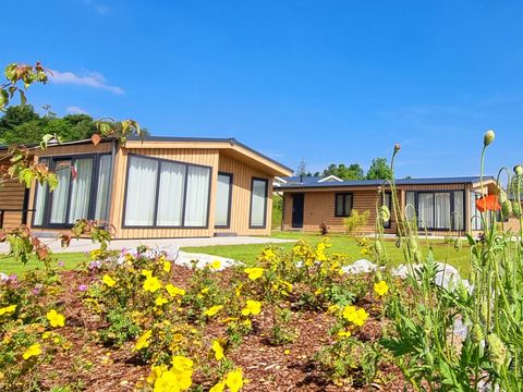 Camping & Ferienpark Brilon - Camping Noordrijn-Westfalen - Afbeelding N°3