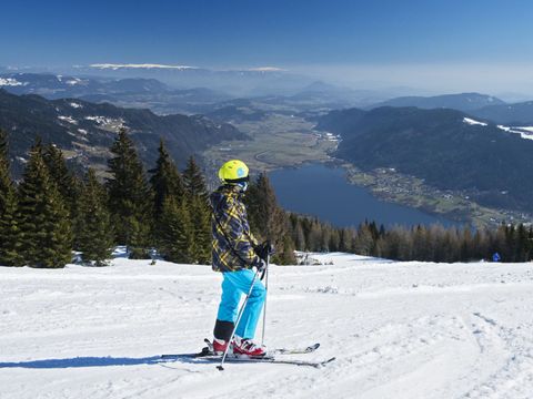 EuroParcs Ossiacher See - Karinthië - Afbeelding N°16