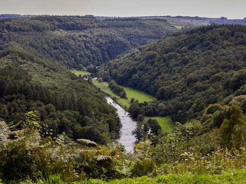 Landal Hillview Resort Grandvoir - Belgisch-Luxemburg - Afbeelding N°37