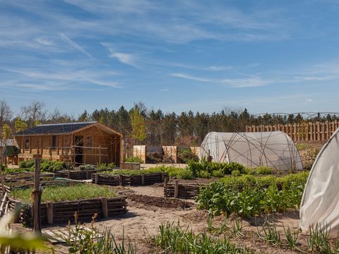 Center Parcs Les Landes de Gascogne - Lot-et-Garonne - Afbeelding N°21