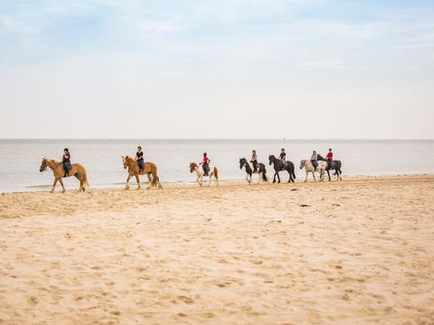 Landal Kaap West - Terschelling - Afbeelding N°2