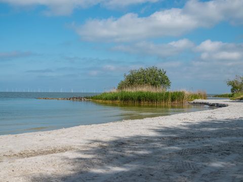 EuroParcs Hindeloopen - Súdwest-Fryslân - Afbeelding N°15