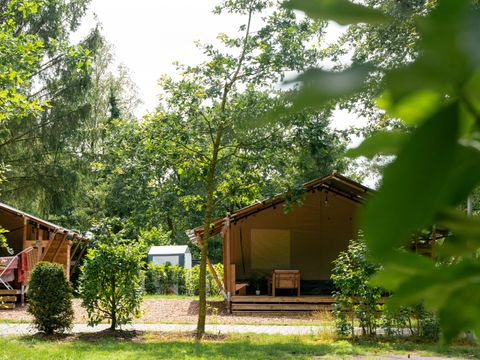 Vodatent Camping de Zeven Heuveltjes - Borger-Odoorn - Afbeelding N°5