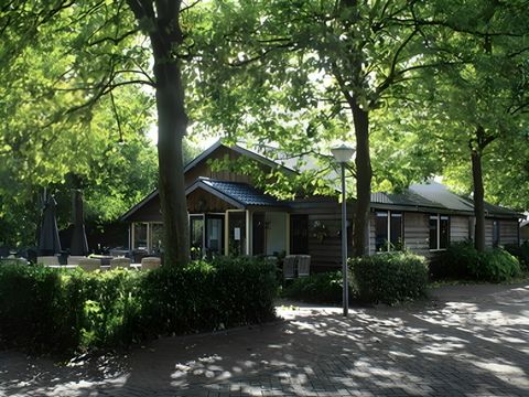 Vodatent Camping de Zwammenberg  - Loon op Zand - Afbeelding N°4