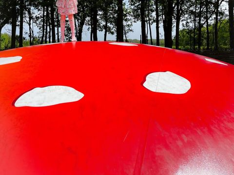 Vodatent Camping de Zwammenberg  - Loon op Zand - Afbeelding N°5