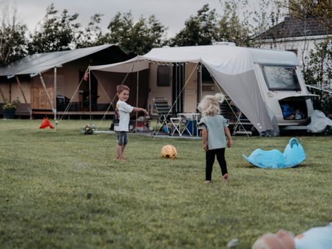 Vodatent Camping de Tulpenweide - Hollands Kroon - Afbeelding N°3