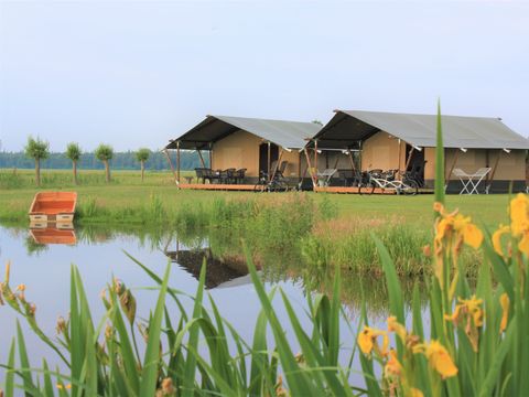 Vodatent Minicamping Schotererf - Camping Steenwijkerland - Afbeelding N°0